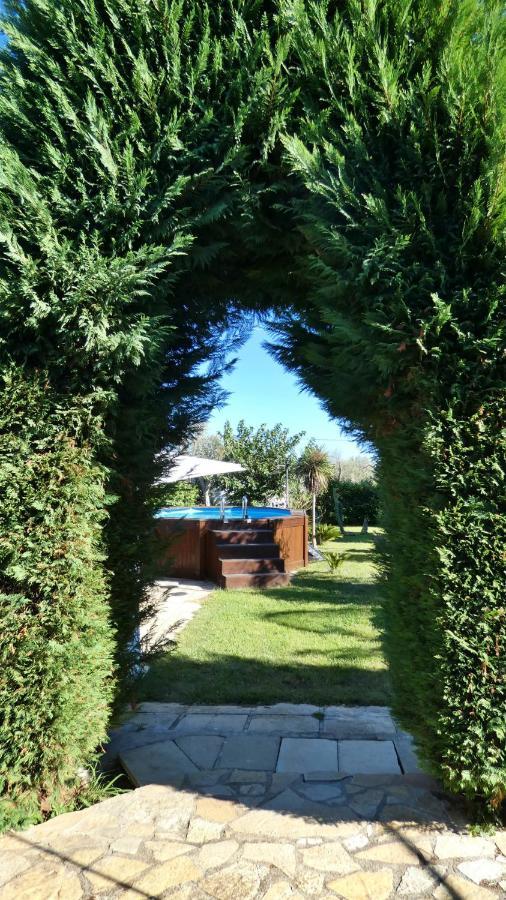 Villa Piana - Con Piscina E Giardino Privato Nel Salento Tricase Kültér fotó
